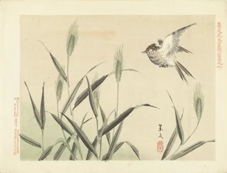 Pájaro volando en pastos Bocetos de flores y pájaros de Keibun, primera parte (título de la serie) Keibun kacho gafu zen pen (título de la serie en el objeto)