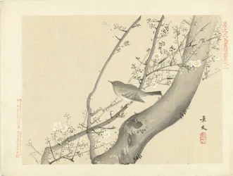 Pájaro en árbol con flor blanca Bocetos de flores y pájaros de Keibun, primera parte (título de la serie) Keibun kacho gafu zen pen (título de la serie en el objeto)