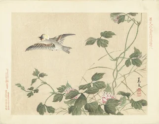 Pájaro volando en la enredadera con flores rosas Bocetos de flores y pájaros de Keibun - tercera parte (título de la serie) Keibun kacho gafu kohen (título de la serie sobre el objeto)
