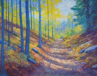 Sendero otoñal en el bosque bañado por el sol