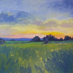 Puesta de sol en un campo lleno de vida