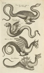 Lámina XII, criaturas míticas, dragones, ilustración de 