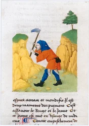 Le Livre des simples medecines - traducción al francés del manuscrito latino del siglo XII de Matthaeus Platearius (pergamino)