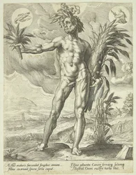 Verano