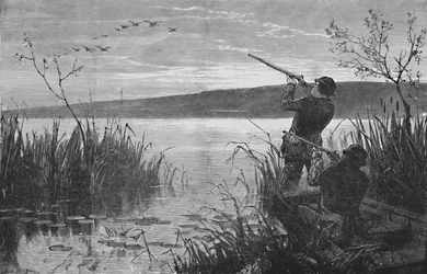 Caza de patos en el lago Saratoga, 1973, 1883