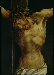 La Crucifixión del Retablo de Isenheim, detalle del torso de Cristo, c.1512-16 (detalle)