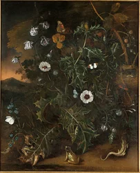 Cardos, zarzas, amapolas y otras plantas