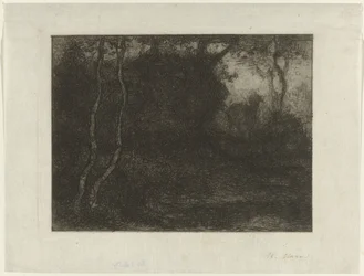 Bosque con niño