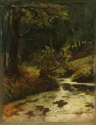 Arroyo en el bosque cerca de Oosterbeek
Un arroyo en el bosque cerca de Oosterbeek