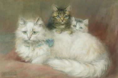 Un Gato Persa y sus Gatitos