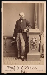 Retrato de Othniel Charles Marsh 1831-1879, 1866
