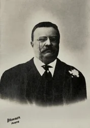 Retrato de Theodore Roosevelt presidente de los Estados Unidos ( 1858