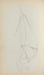 Cuaderno de bocetos italiano: Vela página 73, 1898-1899