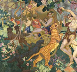 La bacanal del tigre real