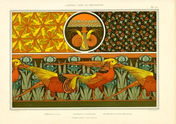 Patrones ornamentales decorativos con faisanes, pájaros y mariquitas (litografía)