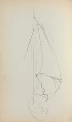 Cuaderno de bocetos italiano: Vela (página 73)