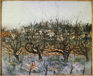 Manzanos en Montmagny