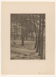 Dennenbosch I (título original del objeto)
Bos (título original)