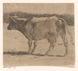 Vaca en un prado