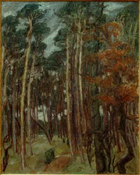 Bosque de Hermsdorf en un día gris