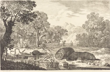 Paisaje fluvial con dos castores