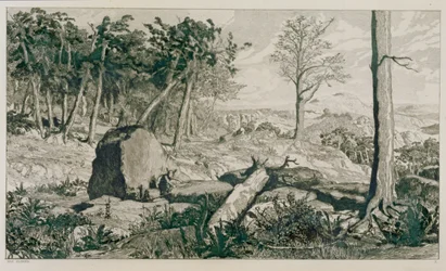 Paisaje con árboles