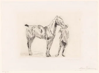 hombre, con, equitación, caballo