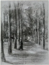 Avenida en Laren