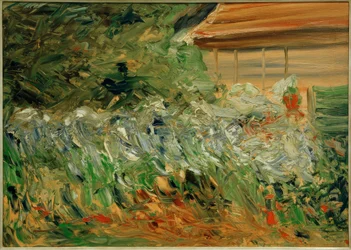Macizos de flores en la casa del jardinero