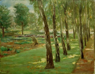 La avenida de abedules en el jardín de Wannsee – Vista del campo de coles