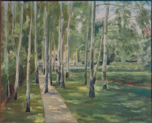 La avenida de abedules en el jardín de Wannsee hacia el oeste