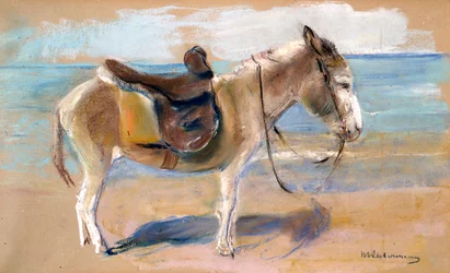 Burro en la playa de Noordwijk, 1908