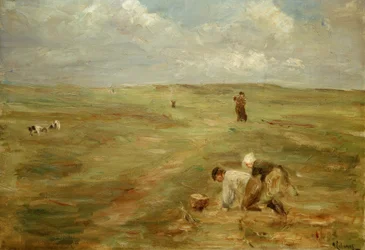 Recolectores de patatas en las dunas de Zandvoort