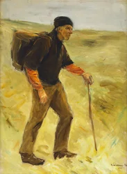 Campesino Caminante