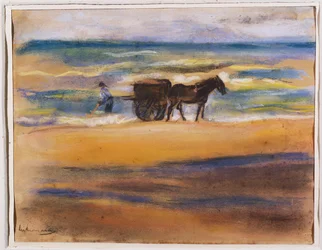 Buscadores de Conchas en la Playa