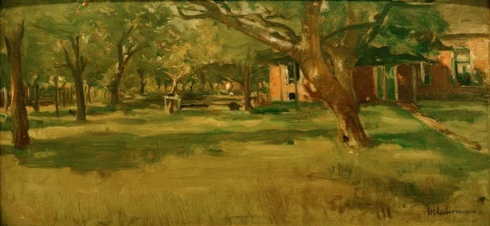 Estudio para el blanqueo