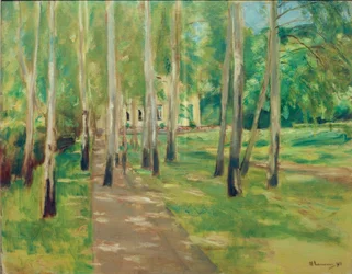 Jardín de Wannsee con avenida de abedules