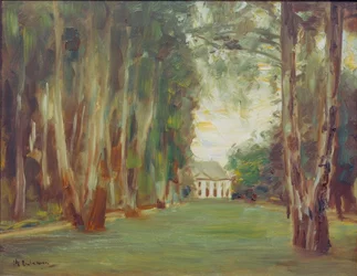 Jardín de Wannsee con Villa / La avenida de abedules en el jardín de Wannsee