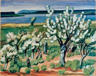 Floración de los árboles junto al lago