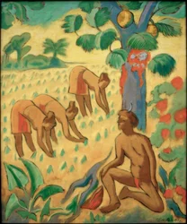 Plantando taro en Palau