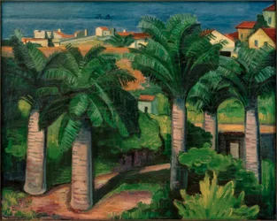 Palmeras en Collioure