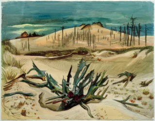 Bosque muerto (duna de Lonske)