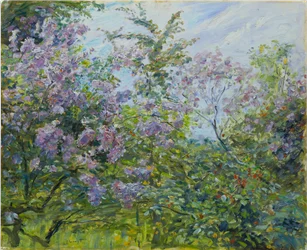 Lila en flor