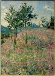 Paisaje montañoso con campo de facelias