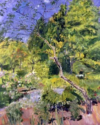 Parque en el Palatinado (Neukastel)