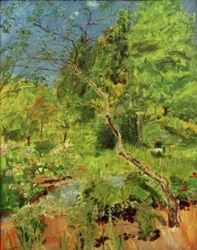 Parque en el Palatinado