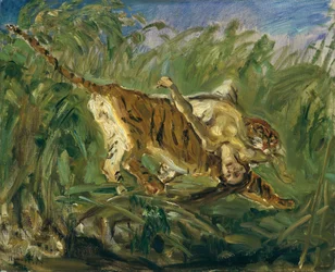 Tigre en la jungla