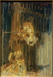 Dos leopardos en la jaula