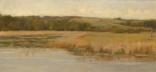 Colinas y marismas