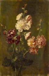 Malvarrosas